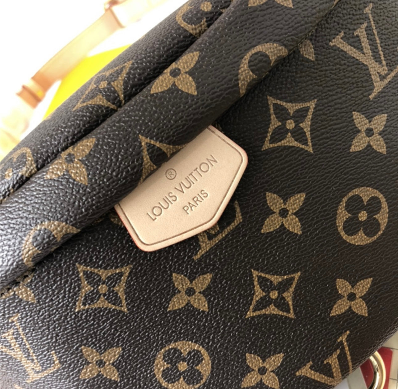 LV MONOGRAM BUMBAG