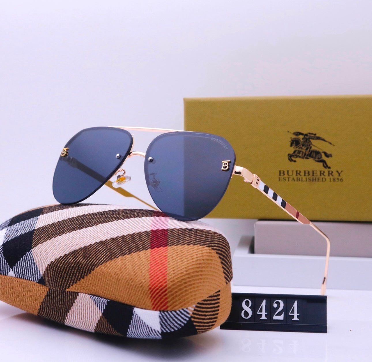 BURBERRY INSPIRED SUNNIES W HARD CASE